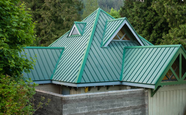 Best Skylight Installation and Repair  in Oliver Springs, TN
